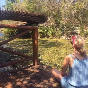 Meet your Posher, Carrie